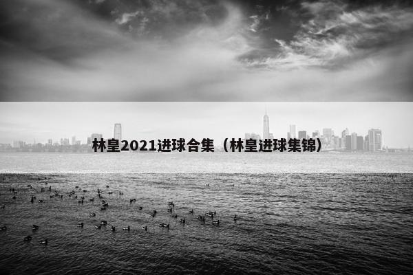 林皇2021进球合集（林皇进球集锦）