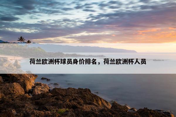 荷兰欧洲杯球员身价排名，荷兰欧洲杯人员