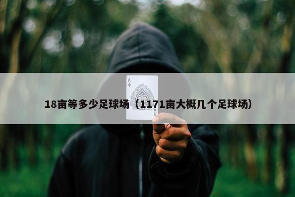 18亩等多少足球场（1171亩大概几个足球场）