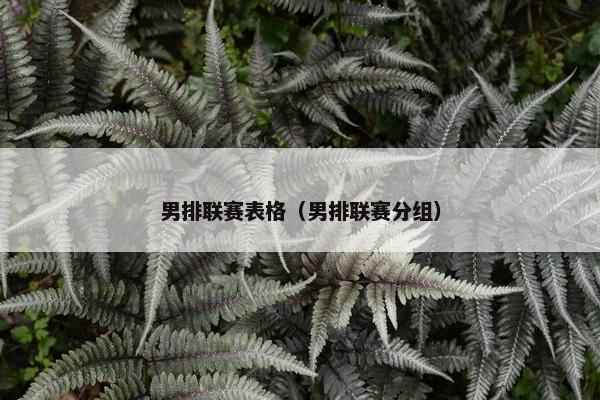 男排联赛表格（男排联赛分组）