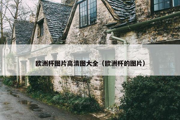 欧洲杯图片高清图大全（欧洲杯的图片）