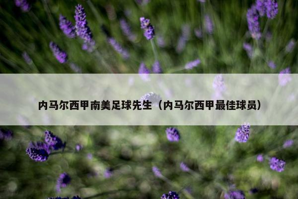内马尔西甲南美足球先生（内马尔西甲最佳球员）