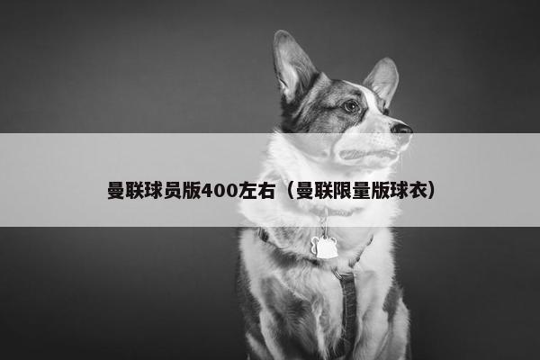 曼联球员版400左右（曼联限量版球衣）