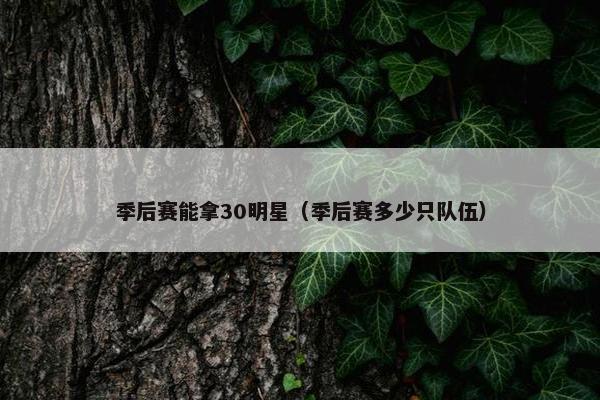 季后赛能拿30明星（季后赛多少只队伍）