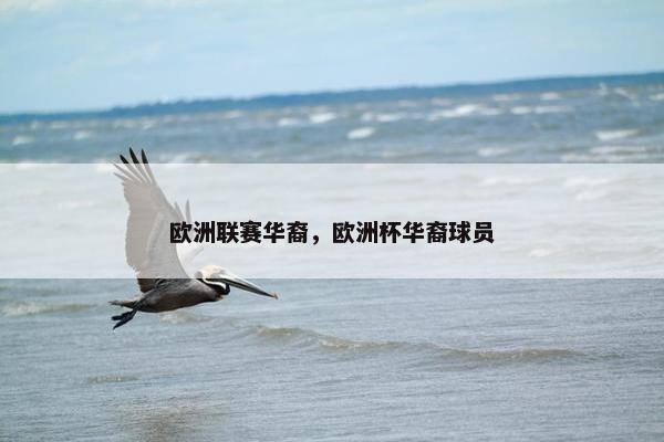 欧洲联赛华裔，欧洲杯华裔球员