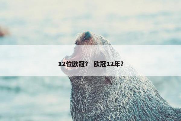 12位欧冠？ 欧冠12年？