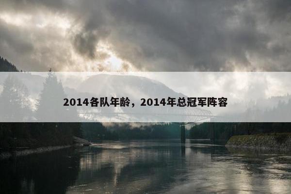 2014各队年龄，2014年总冠军阵容