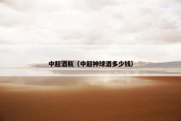 中超酒瓶（中超神球酒多少钱）