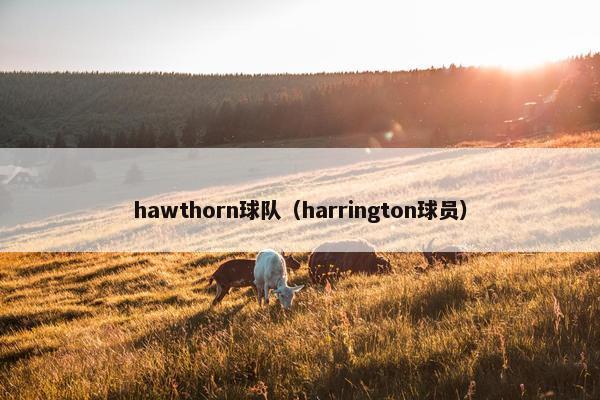 hawthorn球队（harrington球员）