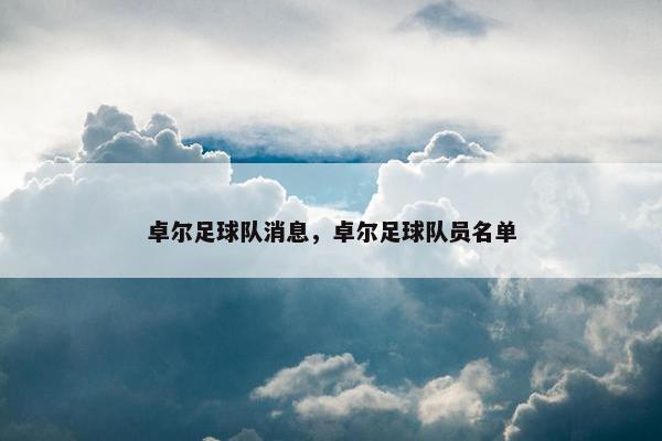 卓尔足球队消息，卓尔足球队员名单