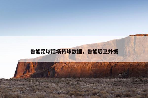 鲁能足球后场传球数据，鲁能后卫外援