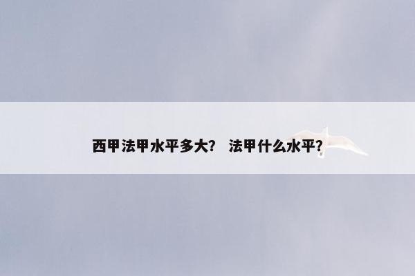 西甲法甲水平多大？ 法甲什么水平？