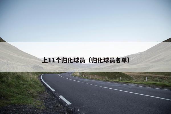 上11个归化球员（归化球员名单）