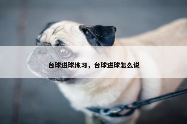 台球进球练习，台球进球怎么说