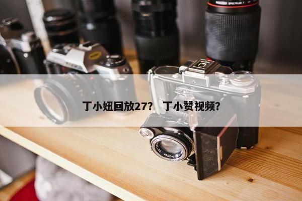 丁小妞回放27？ 丁小赞视频？
