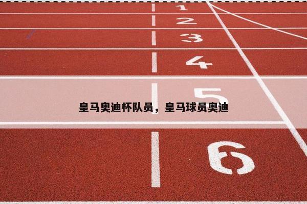 皇马奥迪杯队员，皇马球员奥迪