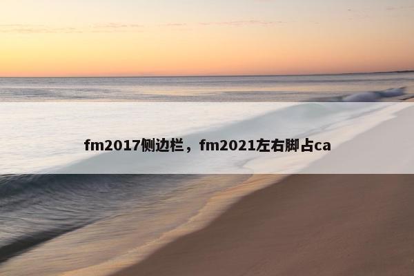 fm2017侧边栏，fm2021左右脚占ca