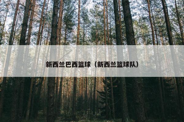 新西兰巴西篮球（新西兰篮球队）