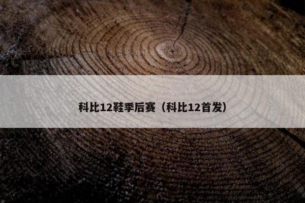 科比12鞋季后赛（科比12首发）