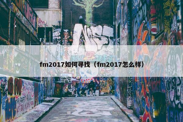 fm2017如何寻找（fm2017怎么样）