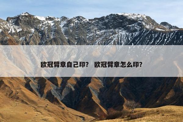 欧冠臂章自己印？ 欧冠臂章怎么印？