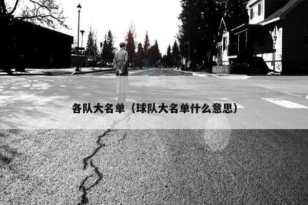 各队大名单（球队大名单什么意思）