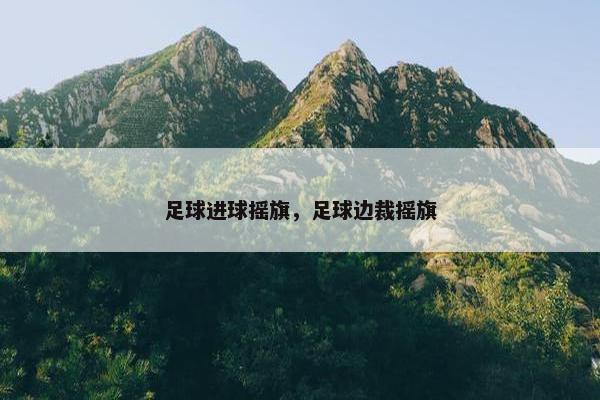 足球进球摇旗，足球边裁摇旗