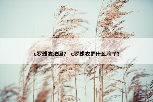 c罗球衣法国？ c罗球衣是什么牌子？