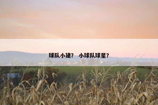 球队小建？ 小球队球星？