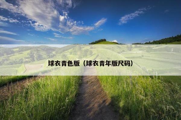 球衣青色版（球衣青年版尺码）