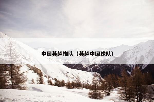 中国英超梯队（英超中国球队）