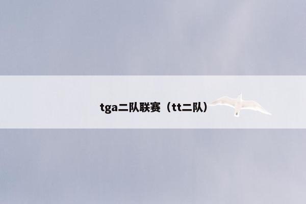 tga二队联赛（tt二队）