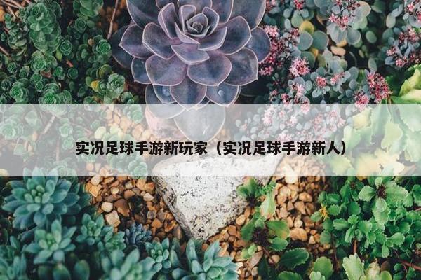 实况足球手游新玩家（实况足球手游新人）