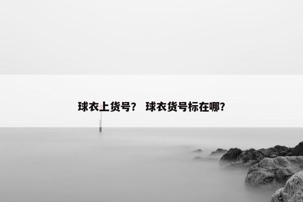 球衣上货号？ 球衣货号标在哪？