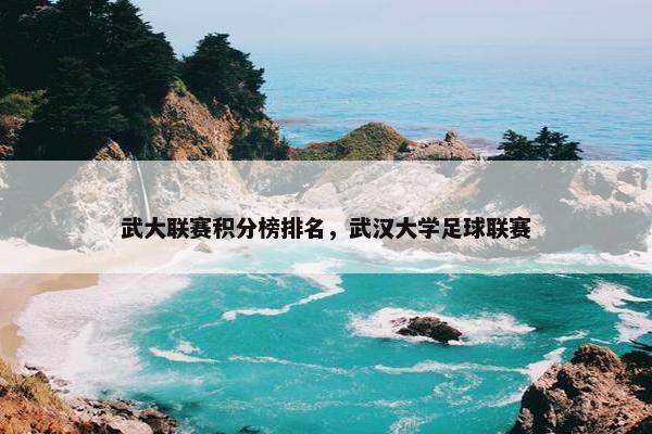 武大联赛积分榜排名，武汉大学足球联赛