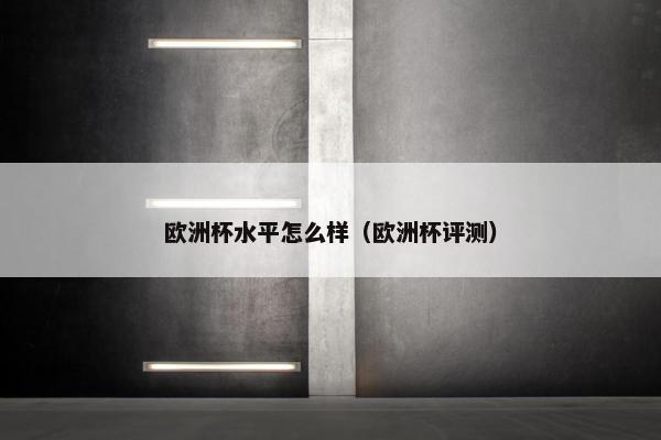 欧洲杯水平怎么样（欧洲杯评测）