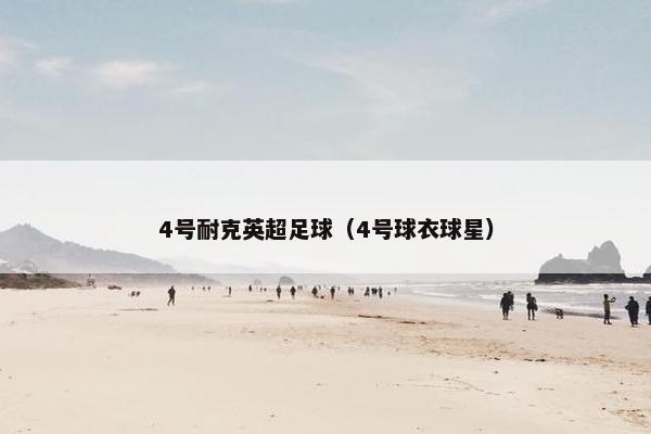 4号耐克英超足球（4号球衣球星）