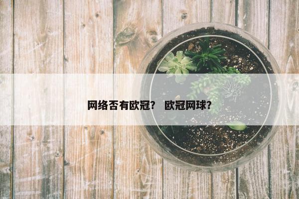 网络否有欧冠？ 欧冠网球？