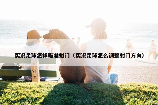 实况足球怎样瞄准射门（实况足球怎么调整射门方向）