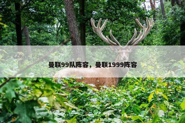 曼联99队阵容，曼联1999阵容