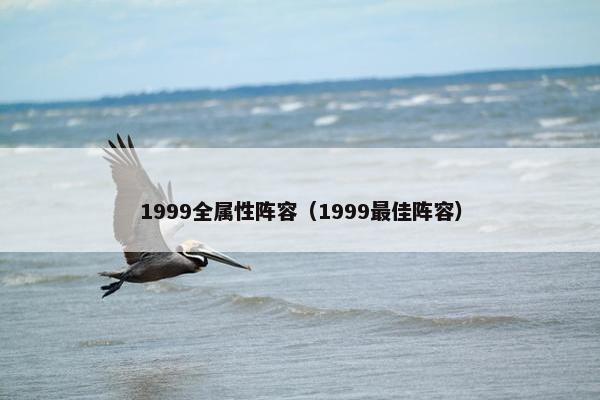 1999全属性阵容（1999最佳阵容）