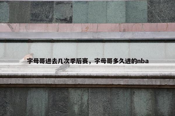 字母哥进去几次季后赛，字母哥多久进的nba