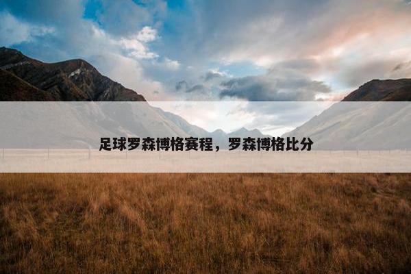 足球罗森博格赛程，罗森博格比分