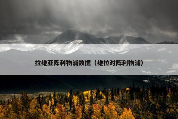 拉维亚阵利物浦数据（维拉对阵利物浦）