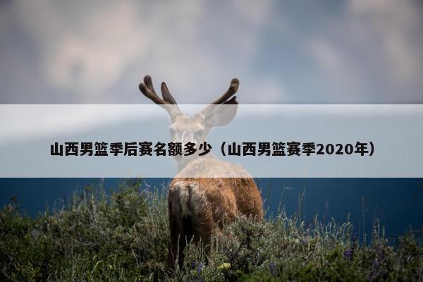 山西男篮季后赛名额多少（山西男篮赛季2020年）