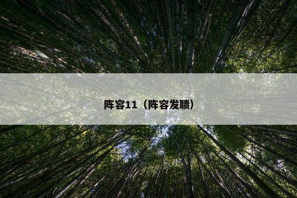 阵容11（阵容发聩）