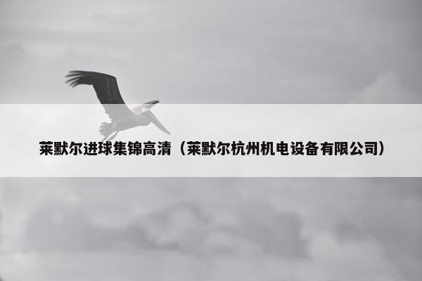 莱默尔进球集锦高清（莱默尔杭州机电设备有限公司）
