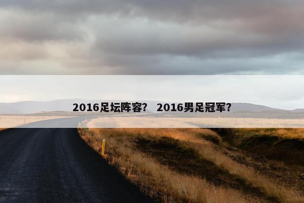 2016足坛阵容？ 2016男足冠军？