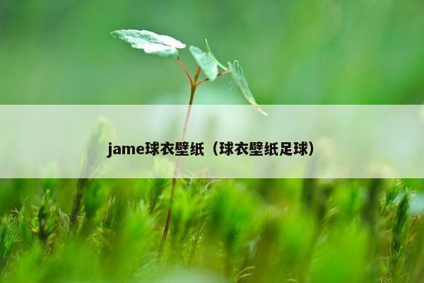 jame球衣壁纸（球衣壁纸足球）