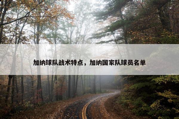 加纳球队战术特点，加纳国家队球员名单